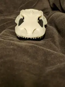 Dinosaurs - Dino Cover for the Tubeless Insulin Pod (DINO-OPC)