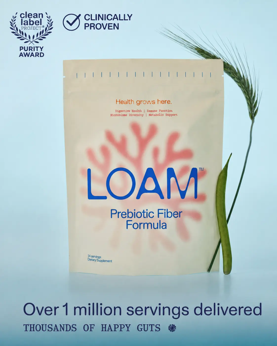 LOAM Prebiotic Fiber Stick Packs (14 Ct) – Boost Digestive Health & Support Gut Microbiome