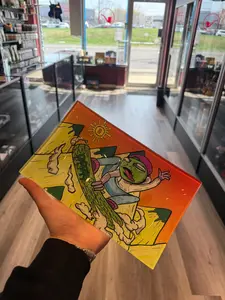 Stylish Glass Food Plate Tray Medium Size Premium Build Durable Shatter Resistant Multiple Colors for Kitchen Use