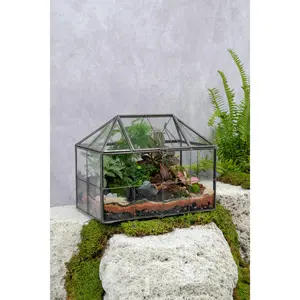 Greenhouse Terrarium