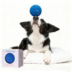 USB Squeaking Dog Toy Long-lasting Dog Interactive Ball - Electric Auto-Bouncing Toy, Safe for Teething Puppies & Adult Dogs, Indoor Outdoor Playtime Essential