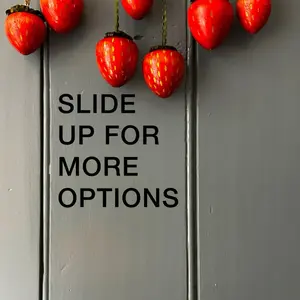 ORNAMENT OF THE MONTH CLUB