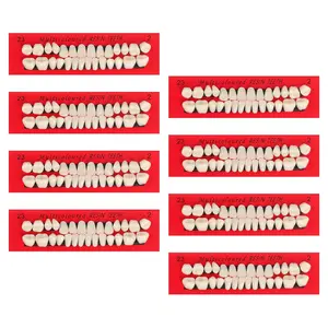 224 PCS Acrylic Resin Fake Teeth Complete Acrylic Resin Denture Dental Teeth 8 Sets Dentures Upper and Lower Synthetic Teeth for Replacement DIY Crafts Halloween, 23 A2