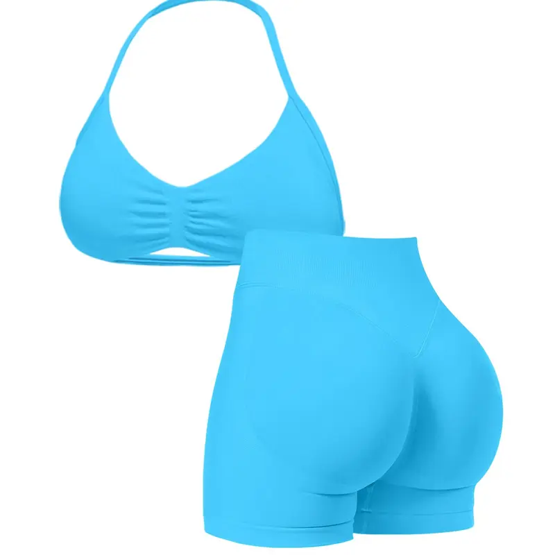 New Women's Seamless Knitted Sport Set, Workout Fitness Clothing, Halter Sports Bra & High Waist Shorts, Activewear for Yoga and Gym, Matching Workout Set, Workout Sportswear