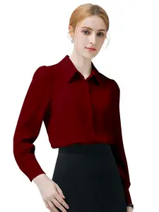 Women's Button Down Wrinkle-Free Blouse Basic Elegant women’s clothes office outfits women church outfit fall clothes women basic tops elegant classy tops womens  fall  tops Long Sleeve Breathable pink  button  up Women's Casual Denim Long Sleeve Shirt