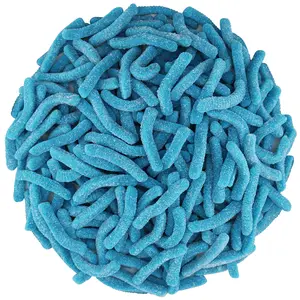 BLUE RASPBERRY SOUR GUMMY WORMS 1 POUND BAG Sweet Snack