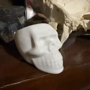 Ceramic skull planter (small)