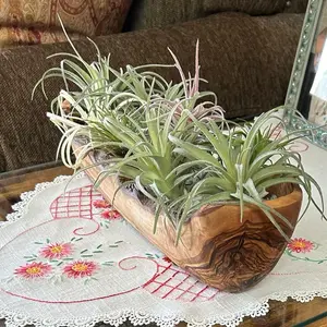 Handcrafted Olive Wood Boat Bowl - Unique & Rustic Serving Dish