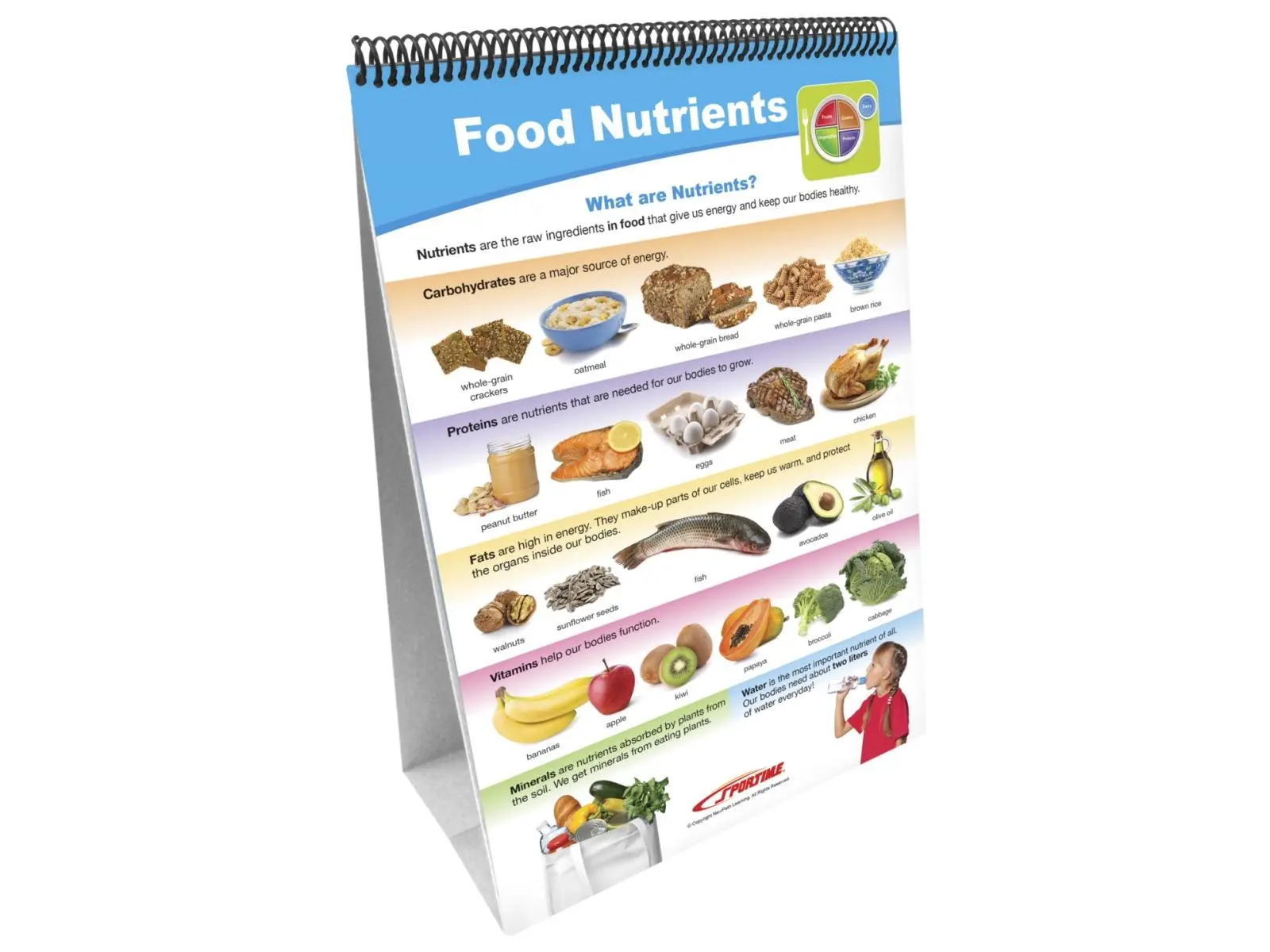 Sportime 2013484 My Plate Food Groups Flip Chart Set - Grade 1-4