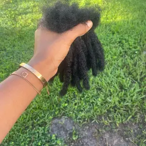 Natural black loc Extensions