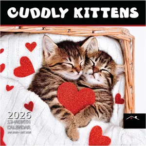 Cuddly Kittens 2026 Wall Calendar 12 Month | 12" x 24" Open | Thick & Sturdy Paper | Giftable | Cute Kitten  Calendar 2026