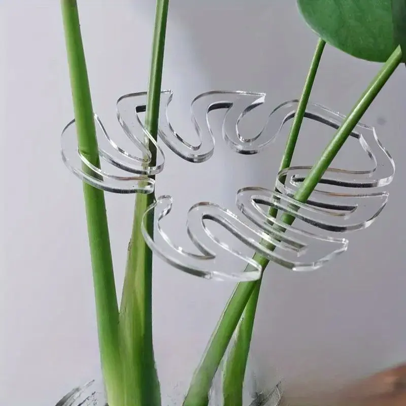 Plant Support Ring - Flexible Plant Stem Support Clips, Clear Plastic Climbing Plant Holder for Monstera, Pothos, Philodendron & Indoor Houseplants, Leaf Organizer for Potted Plants, Home Garden Decor Gift