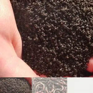 50 Pounds Red Wiggler Worm Castings Organic Fertilizer for Optimal Plant Growth 103 Quarts Medium Granule Vermiculite Soil Condition Enhancer