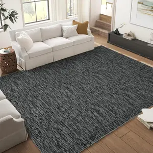 Modern Area Rug, Solid Contemporary Washable Bedrrom Rug Soft Ultra Thin Indoor Floor Throw Carpet for Living Room Office Dining Room
