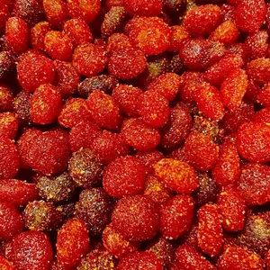 SPICY CHAMOY GUSHERS 8 oz