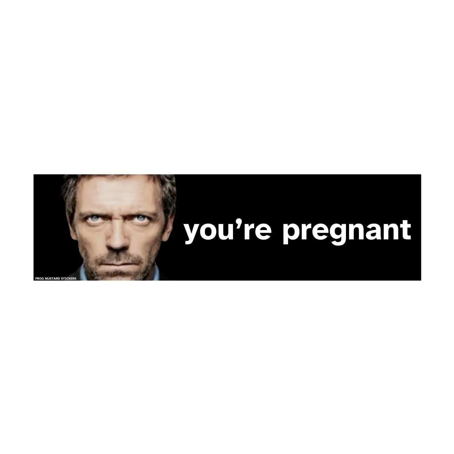 "You're Pregnant" Decal Dr. House Meme Bumper Sticker Or Magnet