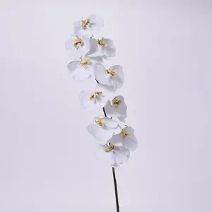 White Phalaenopsis Orchid Blooms Single Long Stem Faux Floral Branch Spray - 53"