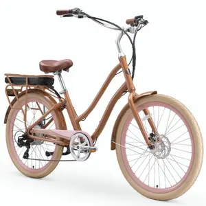 EVRY journey  NEW 500W E-BIKE