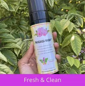 (LARGE 7 oz) Pangaea Wash: 100% Natural Foaming Feminine Wash - A pH Balanced Cleanser w/ Rose & Honeysuckle Extracts
