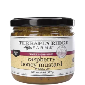 Raspberry Honey Mustard Pretzel Dip