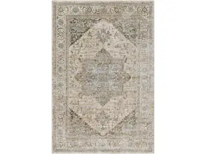 Livabliss BWK2320-53RD 63x63 in. Traditional Motif Machine-Woven Round Brunswick Area Rug, Polypropylene-Polyester, Multi-Color with Fringe Detail for High-Traffic Areas