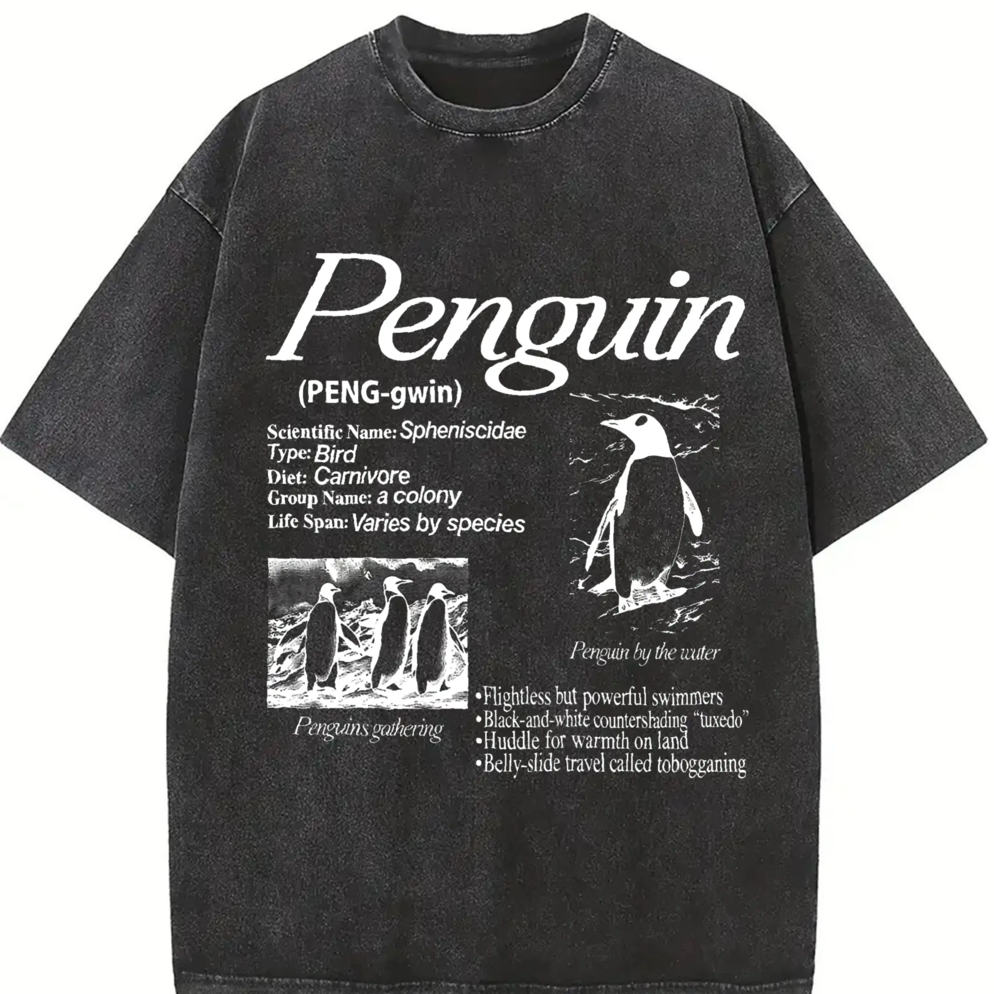 Penguin Vintage 90s Graphic T-Shirt, Retro Arctic Bird Tee, Funny Penguin Lover Shirt, Marine Life Biology Top, Y2K Nature Aesthetic Gift