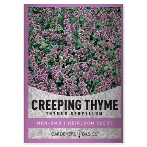 Creeping Thyme Seeds
