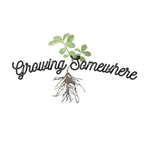 background preload poster image 