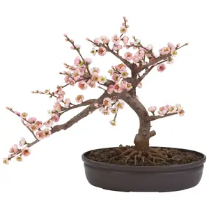 Cherry Blossom Bonsai Tree