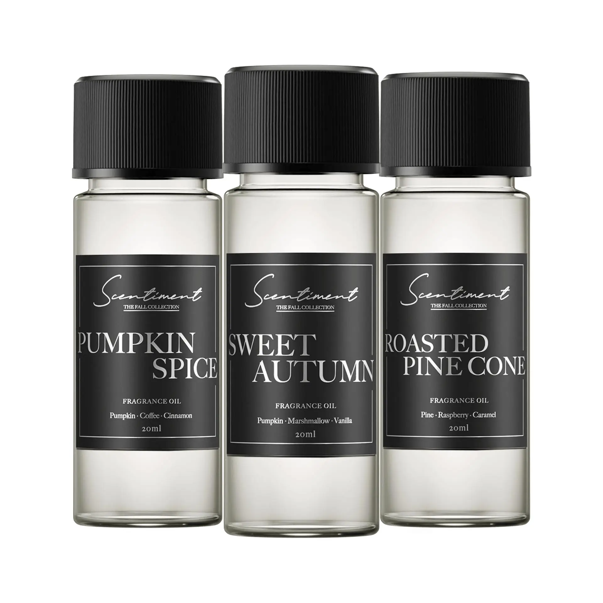 Scentiment Fall Scents Discovery Set - Sweet Autumn, Pumpkin Spice, Roasted Pine...