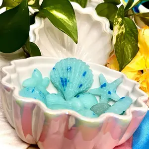 Seaside Cabana Seashell Wax Melts Handcrafted Beeswax 1.25oz Pack- Perfect for Coastal Vibes and Aromatherapy