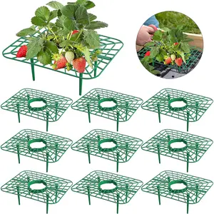 10 Pack Square Strawberry Supports, Durable Plant Support Rack for Garden & Outdoor Use, Easy-To-Clean Design Keeps Strawberries Fresh