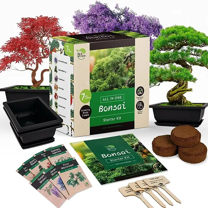 Bonsai Tree Starter Kit