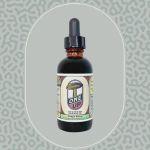 Chaga Elixir Dietary Supplement - Supports Healthy Cholesterol, Blood Sugar, and Blood Pressure Levels - Edible Mushroom Wellness Supplement