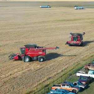 background preload poster image 