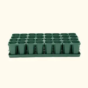 Vego Garden Seed Starting Bundle - 10" x 20" Durable Growing Tray with Air-Pruning Strips & Stackable Design for Easy Storage