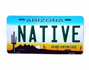 ARIZONA STATE NATIVE METAL CAR NOVELTY LICENSE PLATE AUTO TAG E