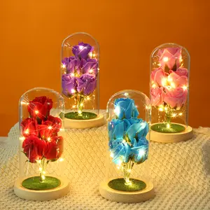 Eternal Flower in Illuminated Glass Dome