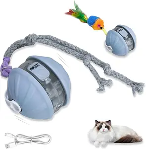Indoor Interactive Cat Toy Ball - Auto Motion, LED Lights, Bite-Resistant, Paw Touch Activation, Detachable Colorful Mouse Accessory, Fast Mode, Mental Stimulation