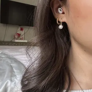 Loop, Experience 2 Plus Earplugs, Live Events & Concerts, 17–20 dB Certified Noise Filtering with Removable Mute, 1 Pair + Case