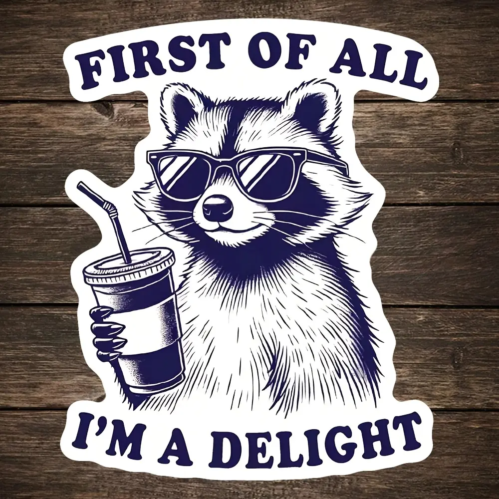 2PCS/SET Trendy Sassy-Cute Raccoon StickerFit for notebooks/backpacks—this retro line art + sassy slogan adds rebellious trendiness to items, matching lazy confident style vibes Funny Stickers Decal Sticker