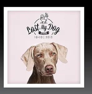 Various Artists - Lost My Dog 10x10 - 2013  [COMPACT DISC - CD]