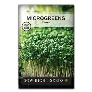 Microgreens Cress