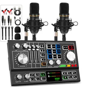 Hayner-Seek Podcast Equipment Bundle for 2, Audio Mixer with Condenser Microphone and Audio Interface for Live Stream/Record/Game