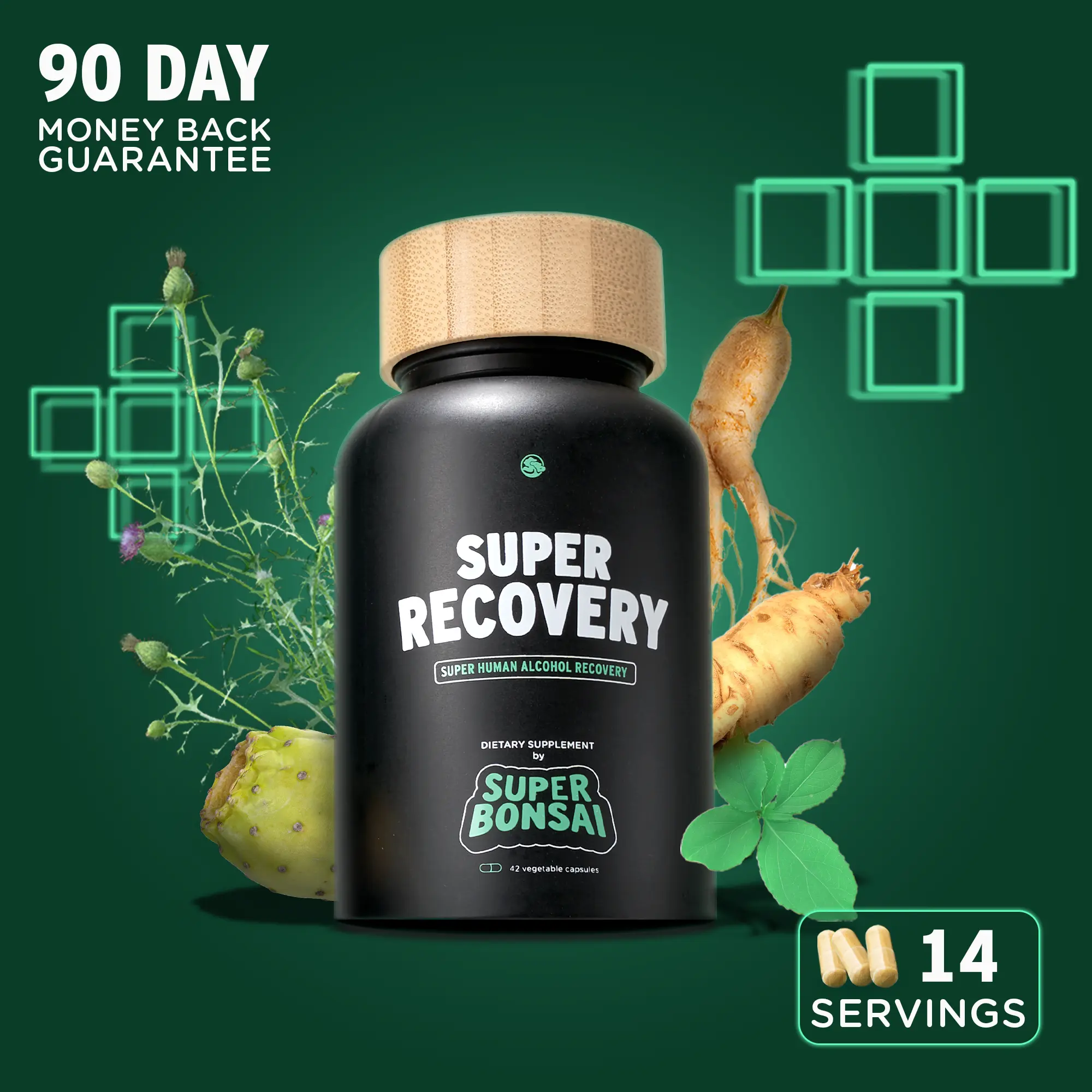 SuperBonsai Super Recovery - Natural Ingredients with DHM and Milk Thistle - Supports Liver Aid - GMO Free, Gluten Free, Vegan, Sugar Free