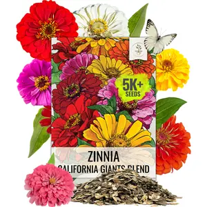 Zinnia Seeds for Planting a Colorful Garden Filled with Annual Cut Flowers - Heirloom & Open Pollinated Wildflowers to Attract Pollinators to a Butterfly Garden