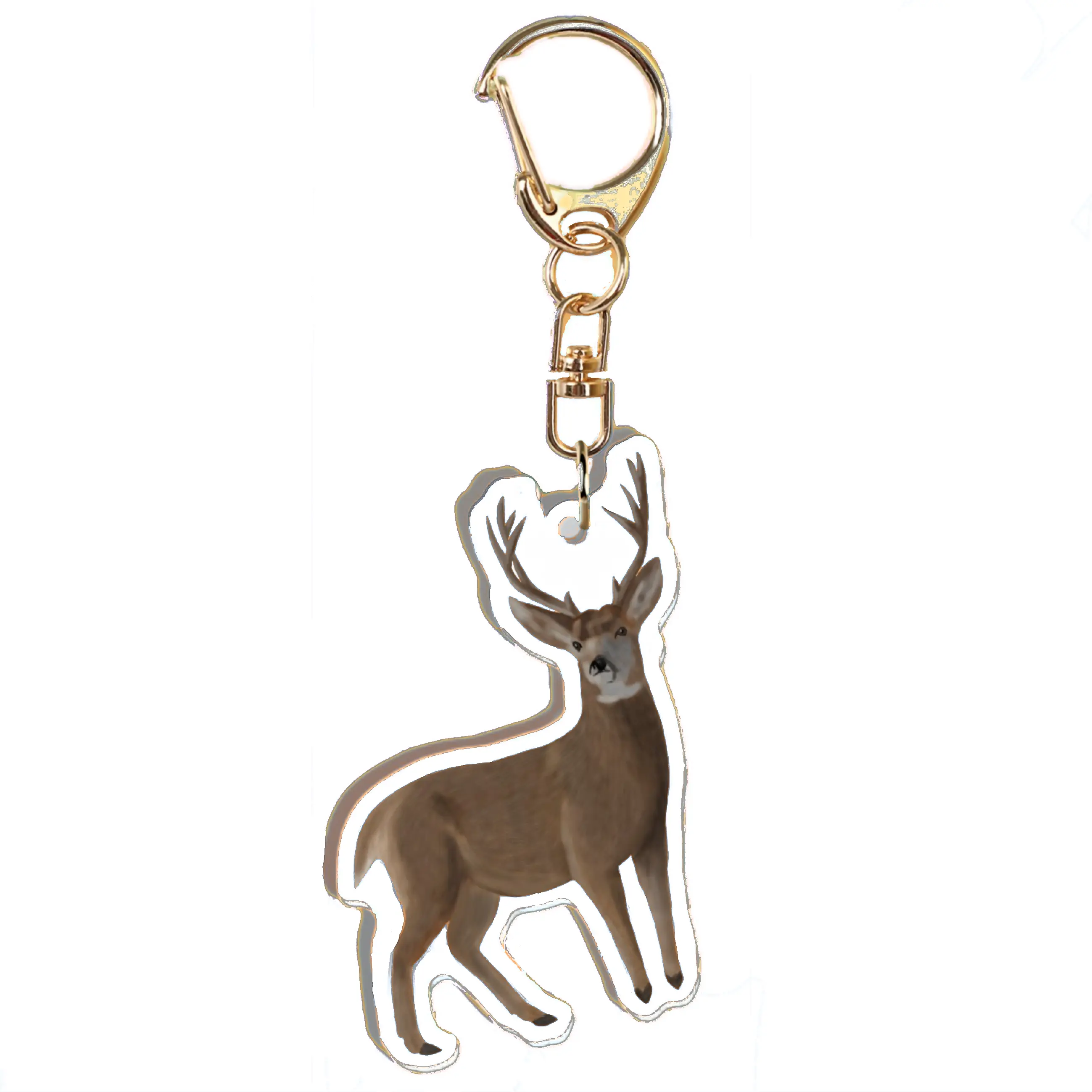 KT Key Chain Creations Realistic White-tailed Deer Acrylic Keychain - Lobster Clasp, Double-Sided, with 5 Educational Fun Facts Tag for Nature Lovers