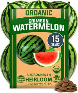 Organic Watermelon Fruit Seeds (Crimson Sweet) – 15 Non-GMO, Heirloom Water Melon (7g) for Planting in Home Gardens or Beds Outdoors – Citrullus lanatus