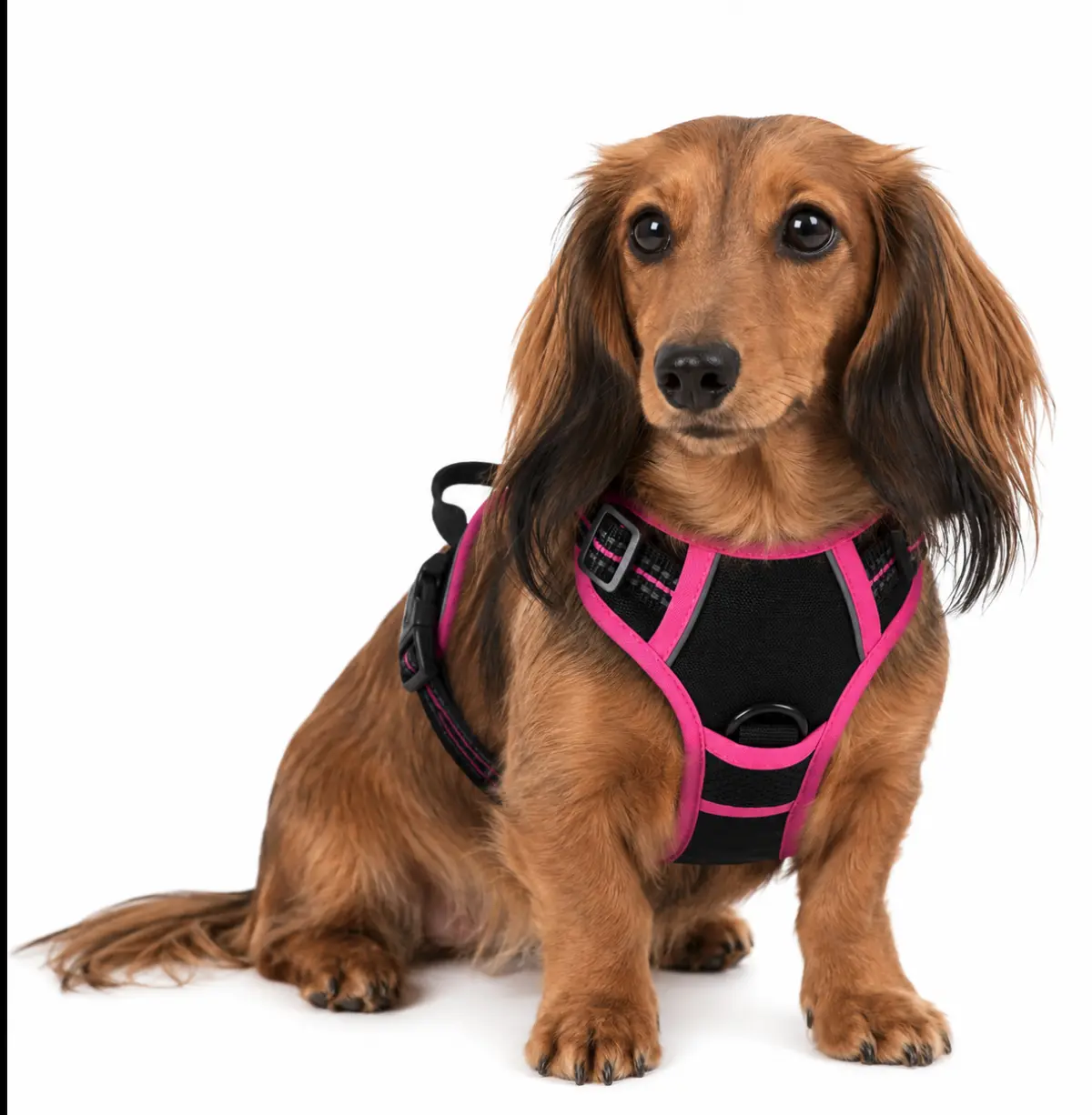 Rabbitgoo Dog Harness No Pull With 2 Leash Clips, Adjustable Soft Padded, Reflective Oxford No Choke Pet Vest With Easy Control Handle For Large Dogs, Black & Hot Pink, XS