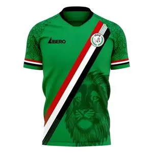 Iraq 2025-2026 Home Concept Football Kit (Libero) Football Jersey Shirt, Unisex Fan Edition